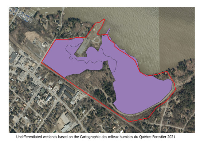 2021 wetlands