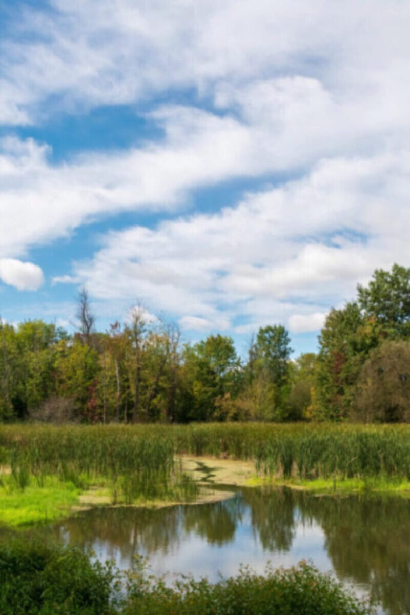 Gallery126-1024x687-800x1200