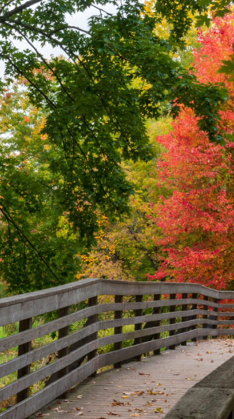 OCTOBER-SHogueA01_8154_194-472x847