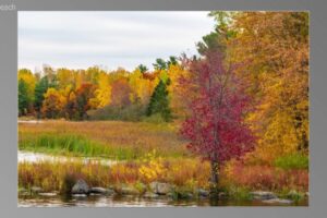 scene00181-1536x870