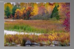 scene00301-300x170
