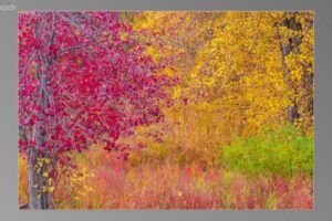scene00421-1024x580
