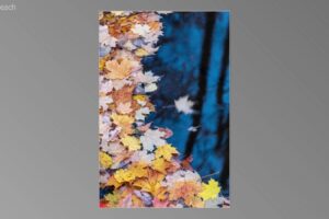 scene00561-1024x580