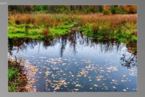 scene00641-1536x870