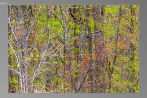 scene01161-1536x870