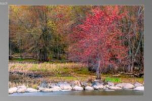 scene01281-300x170