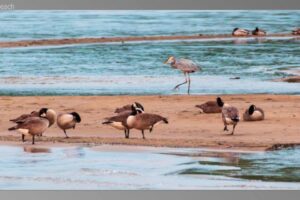 scene01421-1536x870