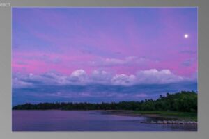 scene01541-768x435