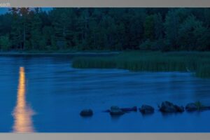 scene02221-1536x870