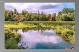scene02321-300x170