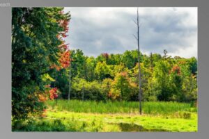 scene02441