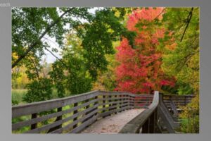 scene02541-1536x870