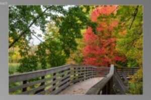 scene02541-300x170