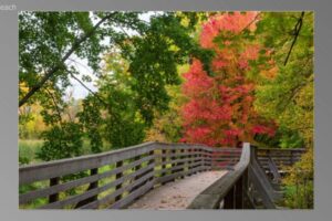 scene02541-768x435
