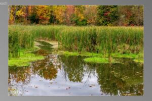 scene02661