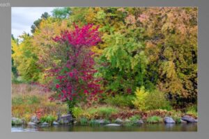 scene02801-1536x870