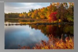 scene03181-300x170