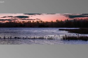 scene03461-768x435