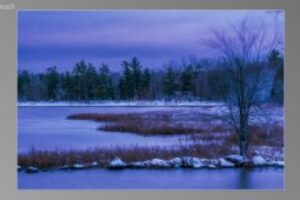scene03821-300x170
