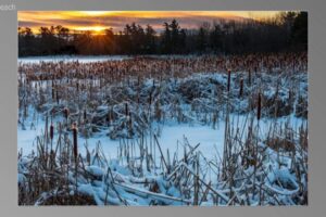 scene04981-1536x870