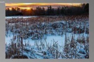 scene04981-300x170