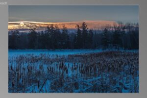 scene05061-768x435