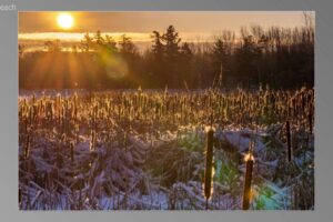 scene05261