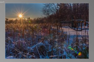 scene05341
