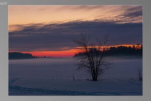 scene05461-1536x870