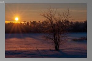 scene05701-1536x870