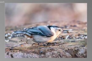 scene06741-1536x870