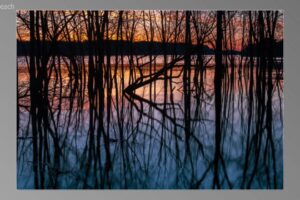scene08121-1024x580