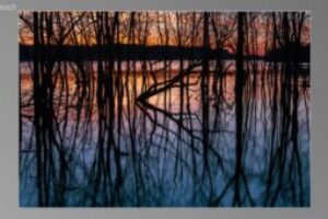 scene08121-300x170