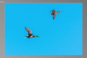 scene09021-1536x870
