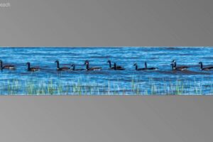 scene09801-1536x870
