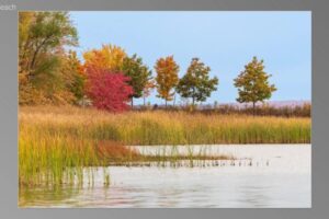 scene12181-768x435