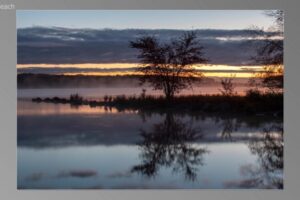 scene12781-768x435