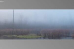 scene13821-300x170