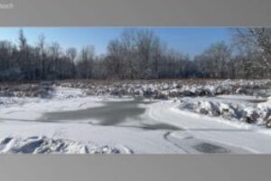scene15621-300x170