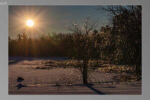 scene15881-1536x870