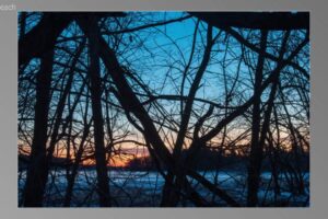 scene16021