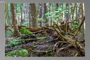 scene23201-1536x870