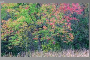 scene25961-1024x580