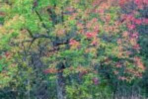 scene25961-150x150