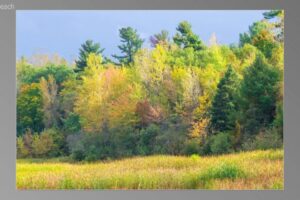 scene27101-1536x870