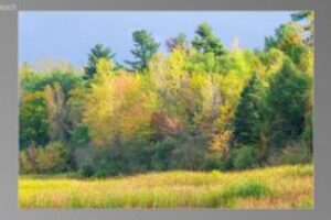 scene27101-300x170